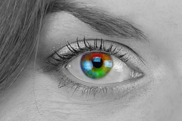 Foto em preto e branco do olho do arco-íris — Fotografia de Stock