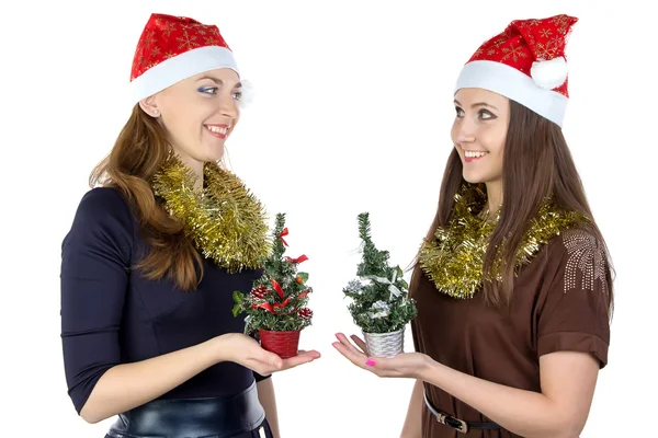 Image of two women with christmas fir tree Royalty Free Stock Photos