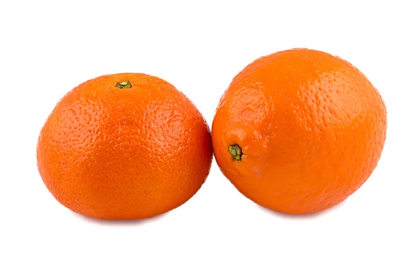 Photo of tangerine and minneola — Stock Photo, Image