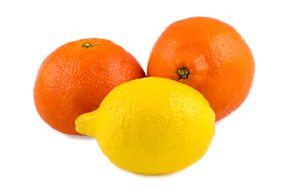 Foto von Mandarine, Zitrone und Minneola — Stockfoto