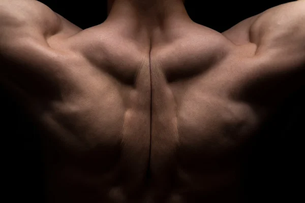 다시 남자의 근육의 사진 — 스톡 사진