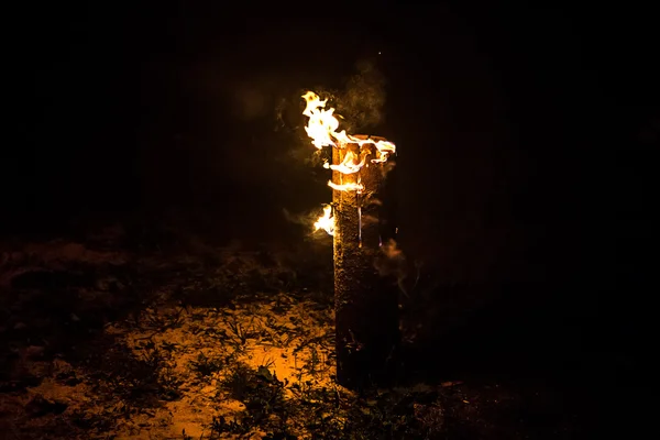 Foto de um tronco em chamas — Fotografia de Stock