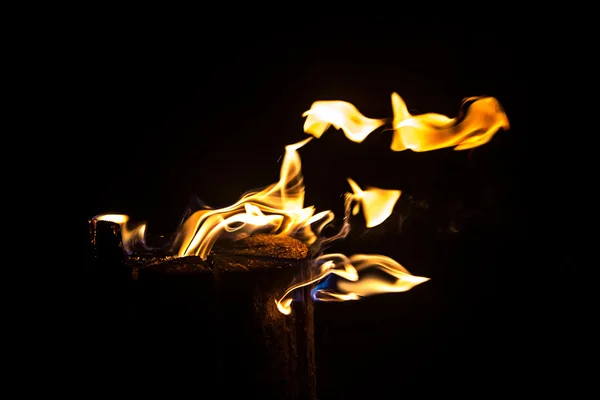 Photo of bright blazing log by night — Stock Photo, Image