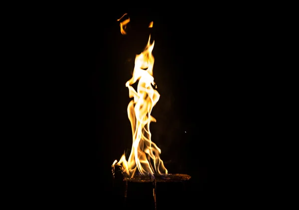 Image of bright flaming log by night — Stock Photo, Image