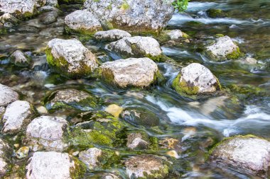 Su yosun taşlarla fotoğraf