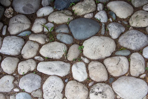 Photo of the road exactly paved with stones — Stock Photo, Image