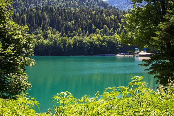 Foto lago de montaña a través de los árboles verdes —  Fotos de Stock