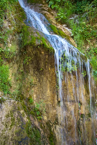 Photo of narrow waterfall among herb — Stock Photo, Image