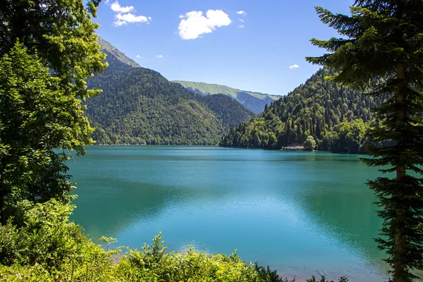 Obraz horské jezero prostřednictvím zelené stromy — Stock fotografie