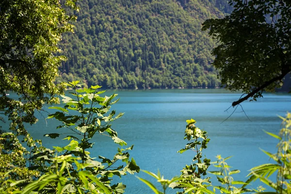 Фото горного озера через деревья — стоковое фото