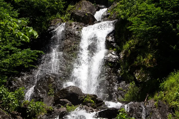 Изображение водопада среди деревьев — стоковое фото