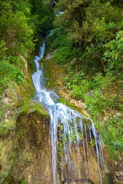 Image of narrow waterfall among grass — Stock Photo, Image