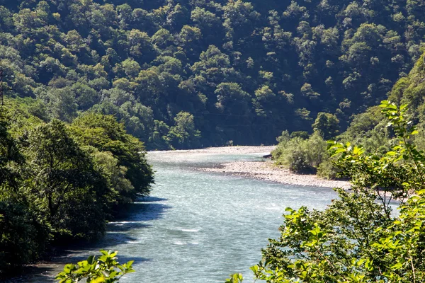 Εικόνα του ποταμού βουνού, κρυμμένο στα καταπράσινα δέντρα — Φωτογραφία Αρχείου