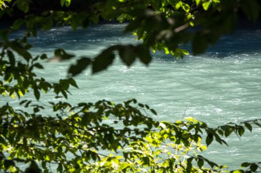 Görüntü akan su ağaçların arasından