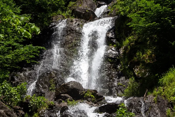 Фото водопада среди зеленых деревьев — стоковое фото