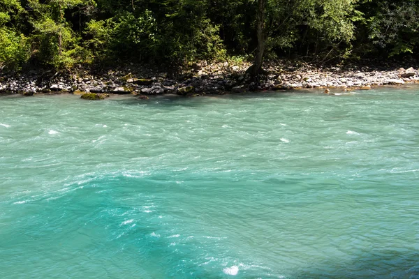 Image turquoise mountain river among trees — Stock Photo, Image