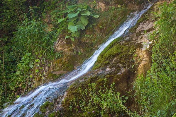 Image of narrow waterfall among vegetation — Stock Photo, Image