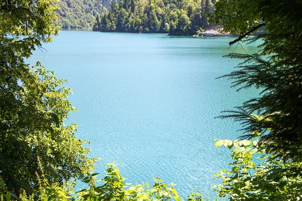 Image of water in mountain river through trees — Stock Photo, Image