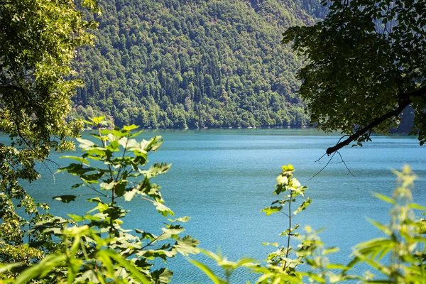 Image of mountain lake through the trees — Stock Photo, Image