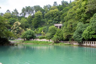 Görüntü gölet ağaçları arasında mavi su
