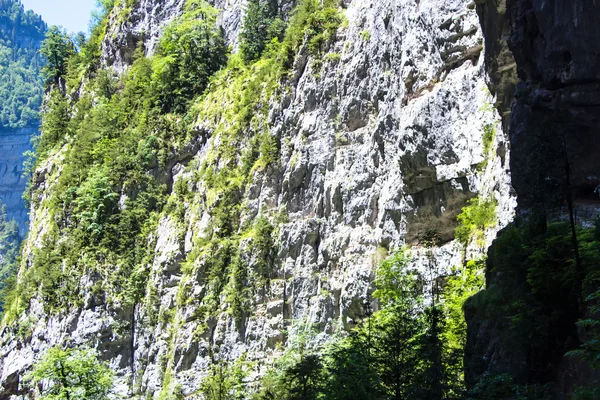 Imagem da montanha com vegetação — Fotografia de Stock