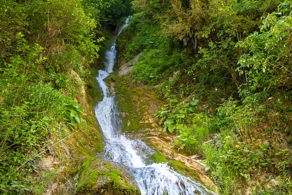 Image of narrow waterfall among trees — Stock Photo, Image