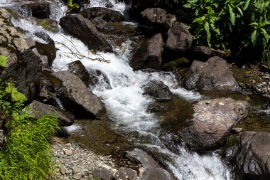 Fotoğraf akan su koyu taşlar arasında