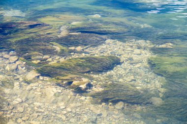 Dağ gölü dibinde fotoğraf yosun 