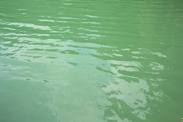 Zdjęcie z zielonej wody w jeziorze — Zdjęcie stockowe