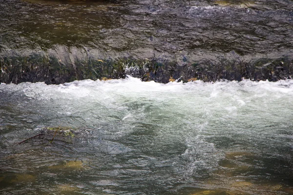 Immagine ruscello di montagna che scorre — Foto Stock