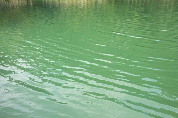 Imagen de agua verde en el lago —  Fotos de Stock