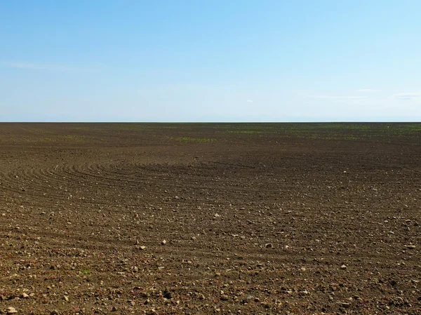 Campo arado seco marrom — Fotografia de Stock