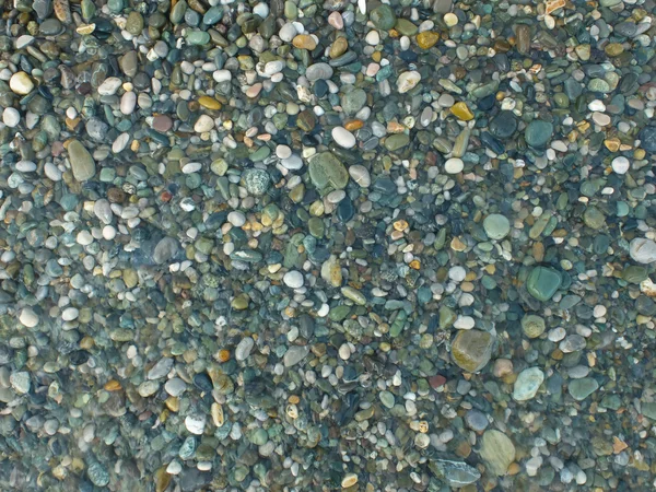 Texture of stones in sea water — Stock Photo, Image