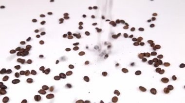 dağınık kahve çekirdekleri