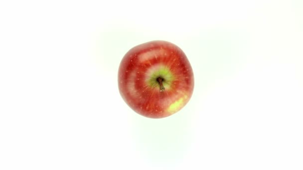 Red apple - isolated on white background — Stock Video