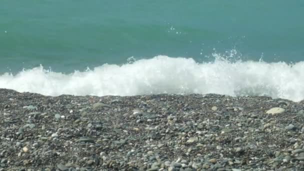 Costa de seixos e ondas pequenas — Vídeo de Stock