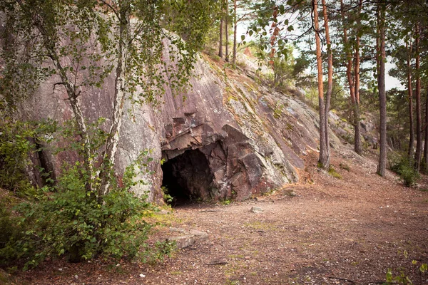 Landskap Med Grotta Och Skog Scenisk Ingång Till Grottan Stenvägg — Stockfoto