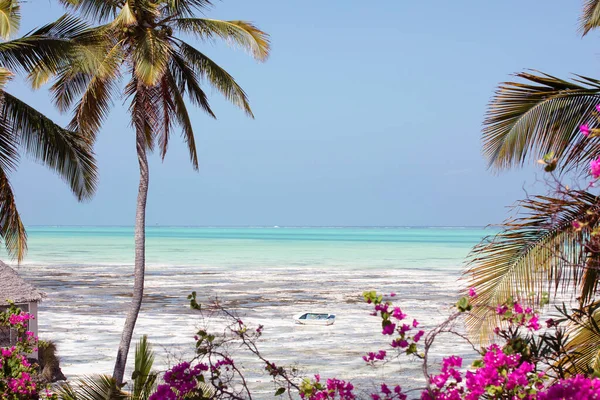 Beautiful Paradise Landscape Zanzibar Island Tropical Climate Beach Turquoise Ocean — Stock Photo, Image