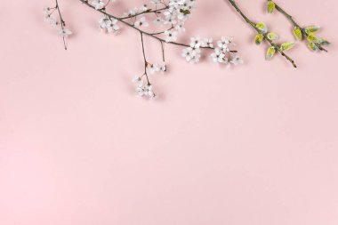 Flowering cherry twig. Spring tree branches, and pussy willow catkins on pink background. Springtime, easter season border background, banner. Springtime floral flat lay arrangement. 