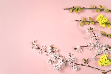 Çiçekli dallar, sarı çiçekler ve pembe arka planda kedi söğütleri. İlkbahar, Paskalya sezonu sınır arkaplanı, afiş. İlkbahar çiçekli daire düzenleme. 