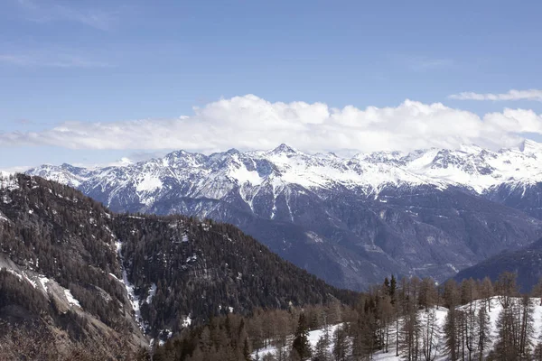 Pemandangan Alpine Dengan Pohon Cemara Pemandangan Musim Dingin Gunung Bersalju — Stok Foto