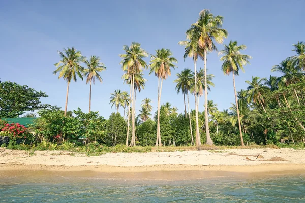 Ranta palmuja merestä "Las Cabanas" meren rannalla El Nido Palawan Filippiineillä - Laaja kulma näkymä yksinomainen kohde paikka valkoista hiekkaa aurinkoisena päivänä - Lämmin iltapäivällä väri sävyjä — kuvapankkivalokuva