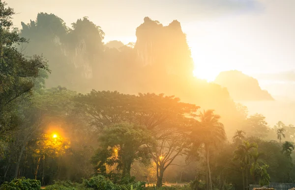 Tjocka vilda växtligheten och bergen i Khao Sok nationalpark skog i solnedgången - reslust resa livsstil äventyr runt södra östasiatiska Thailand undrar - Enhanced sunflare halo med dimmiga töcken — Stockfoto