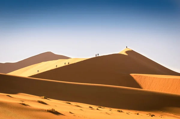 Persone turistiche escursioni sulle dune di sabbia a Deadvlei vicino a Sossusvlei - Namibia deserto famoso in tutto il mondo - meraviglia della natura africana — Foto Stock
