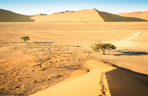 Wysoki kąt widzenia od góry Dune 45 w drodze do Deadvlei w pobliżu Sossusvlei - Namibijski świecie słynnej pustyni - afrykański charakter cud z dzikich krajobrazów w Namibii w pobliżu Republika Południowej Afryki — Zdjęcie stockowe