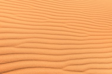 Rüzgar dalgalanma - saflık ve bozulmamış bozulmamış seyahat hedef kavramı - özel sergüzeşt seyahat etmek Afrika çöl Sussuvlei Namibya topraklarında ile kum çöl arka plan