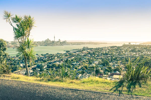 Vista stupefacente dello skyline e del territorio di Auckland dal Monte Victoria nell'area Devonport - Vista ad alto angolo della capitale neozelandese - Look filtrato vintage con basso sole fuori dal lato destro dell'immagine — Foto Stock