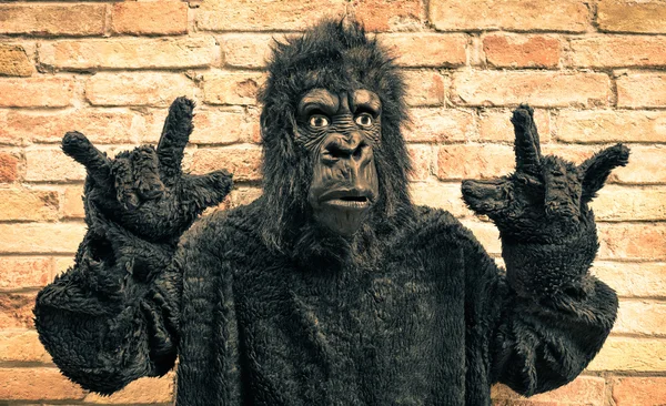 Funny fake gorilla with rock and roll hand gesture - Hipster concept of anthropomorphic evolution of modern monkey — Stock Photo, Image