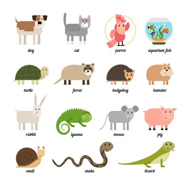 Farklı renkli evcil hayvan güzel dizi