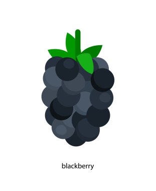 Küçük siyah böğürtlen yaprağı ile